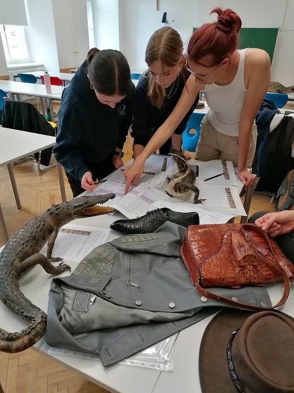 workshop sparklingscience 1