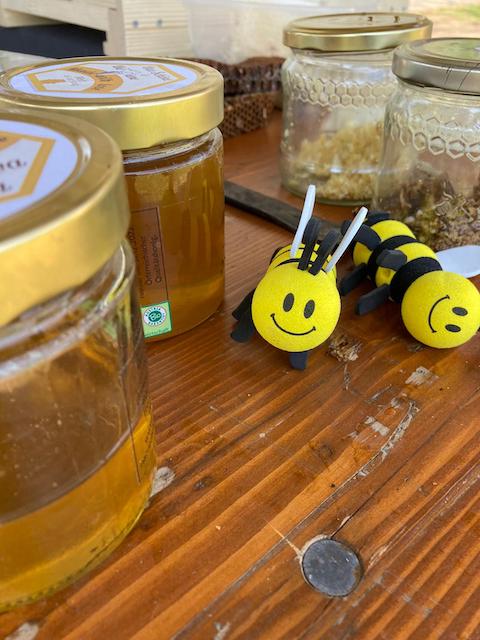 bienenprojekt1
