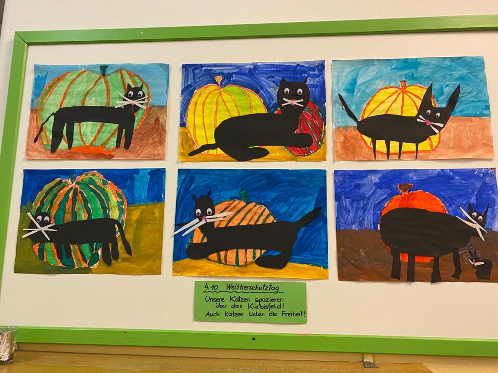 katzen_im_kuerbisfeld2