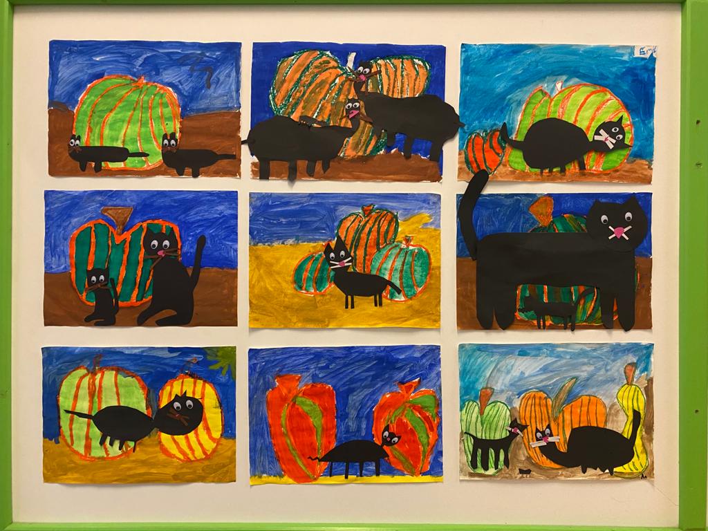 Katzen_im kuerbisfeld