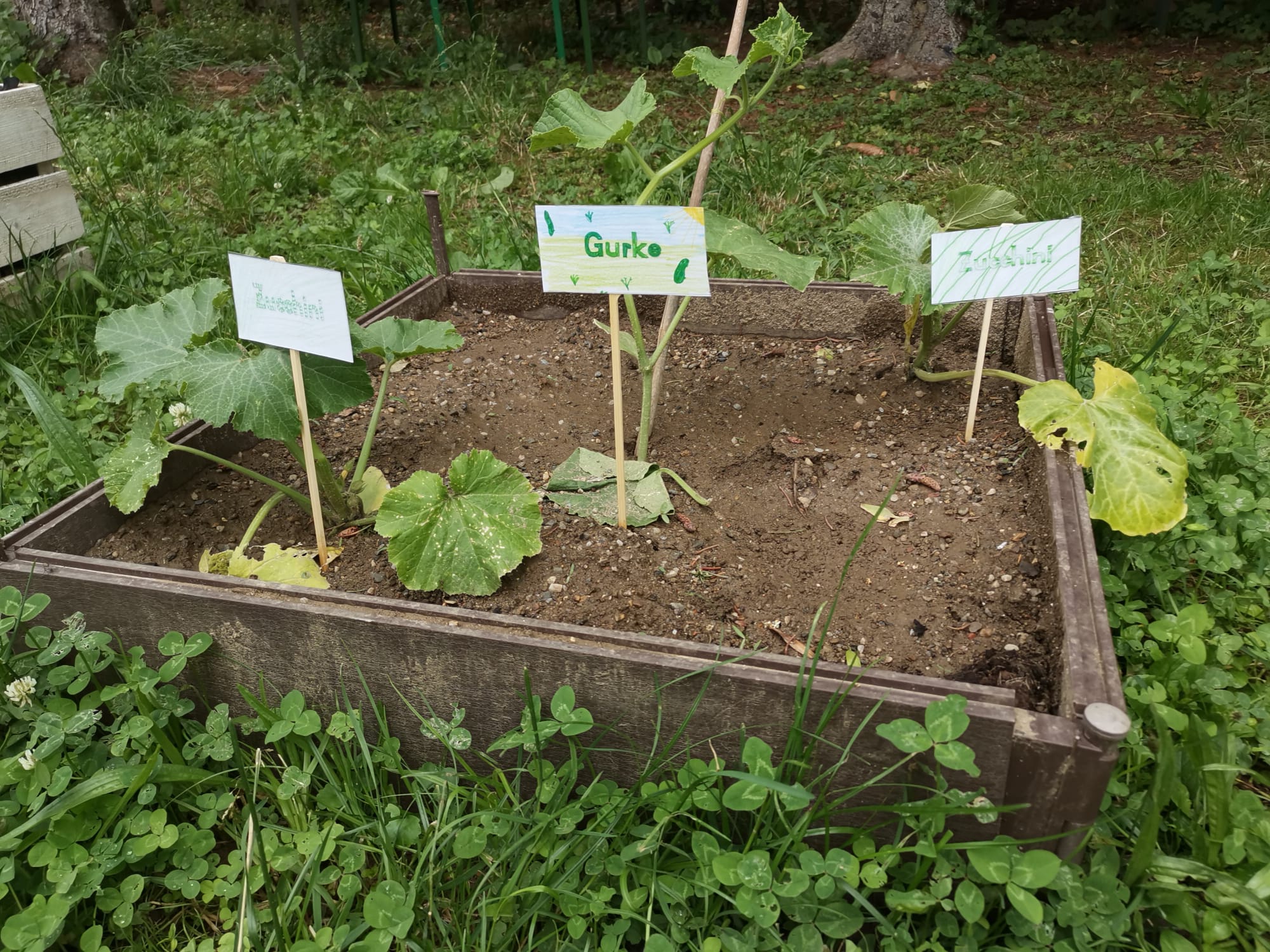 garten_3