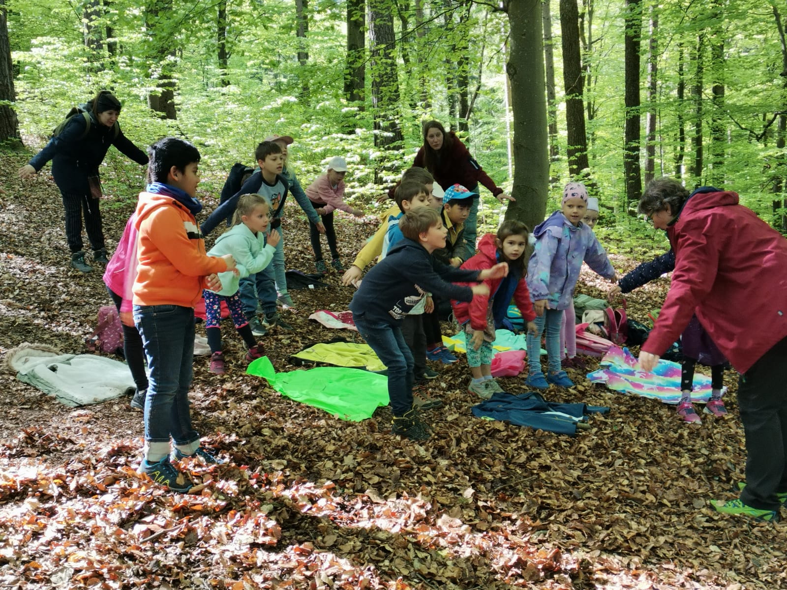 1a_wald_06