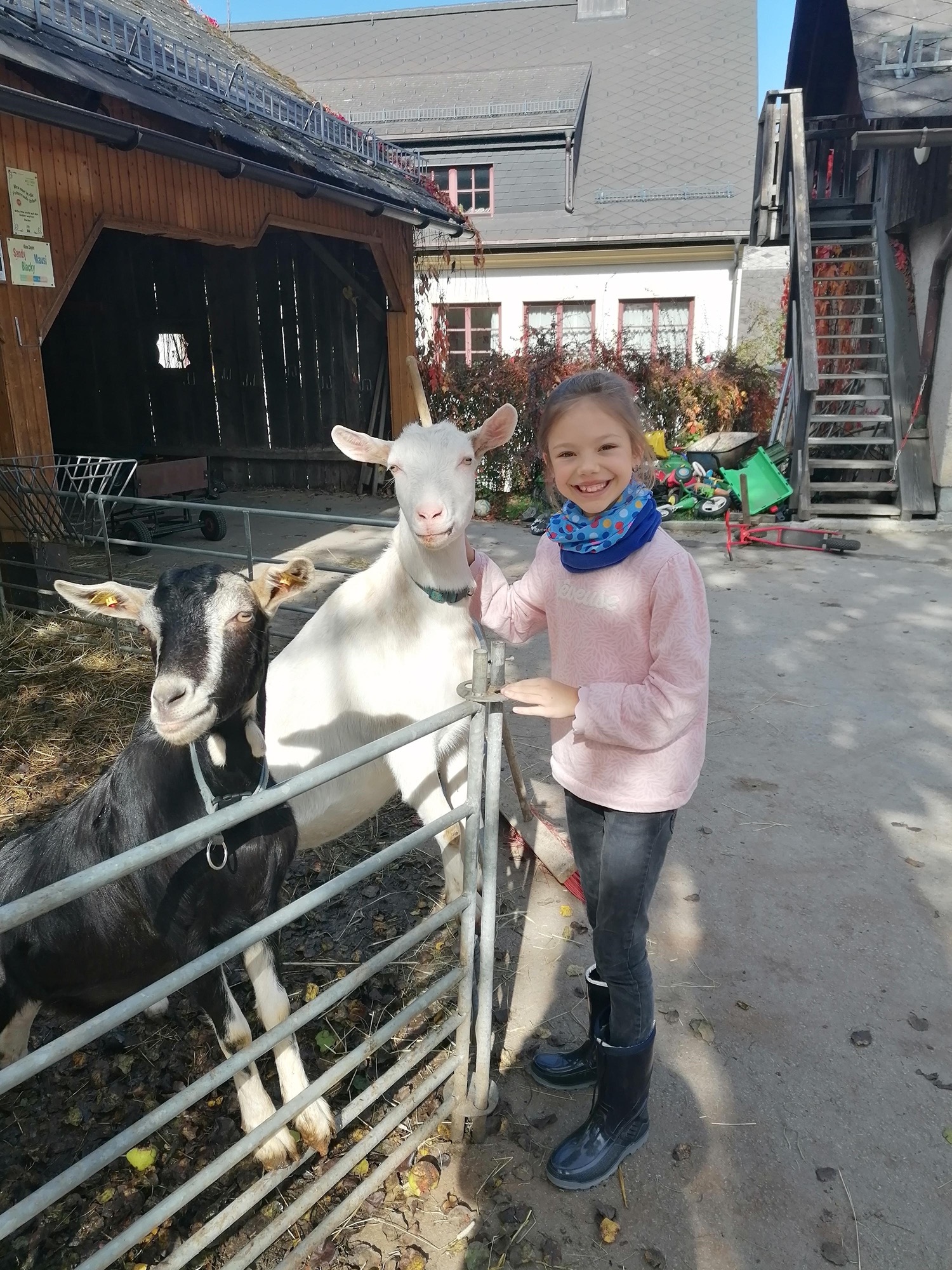 schullandwoche4c_01