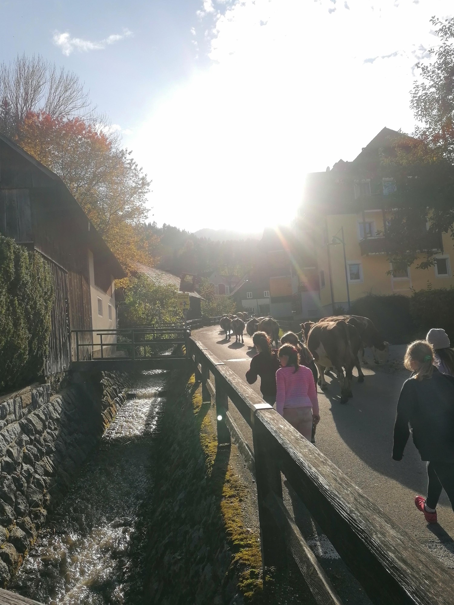 schullandwoche4c_11