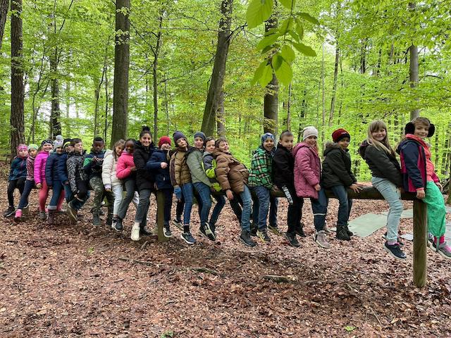 2c_erkundet_den_lechwald