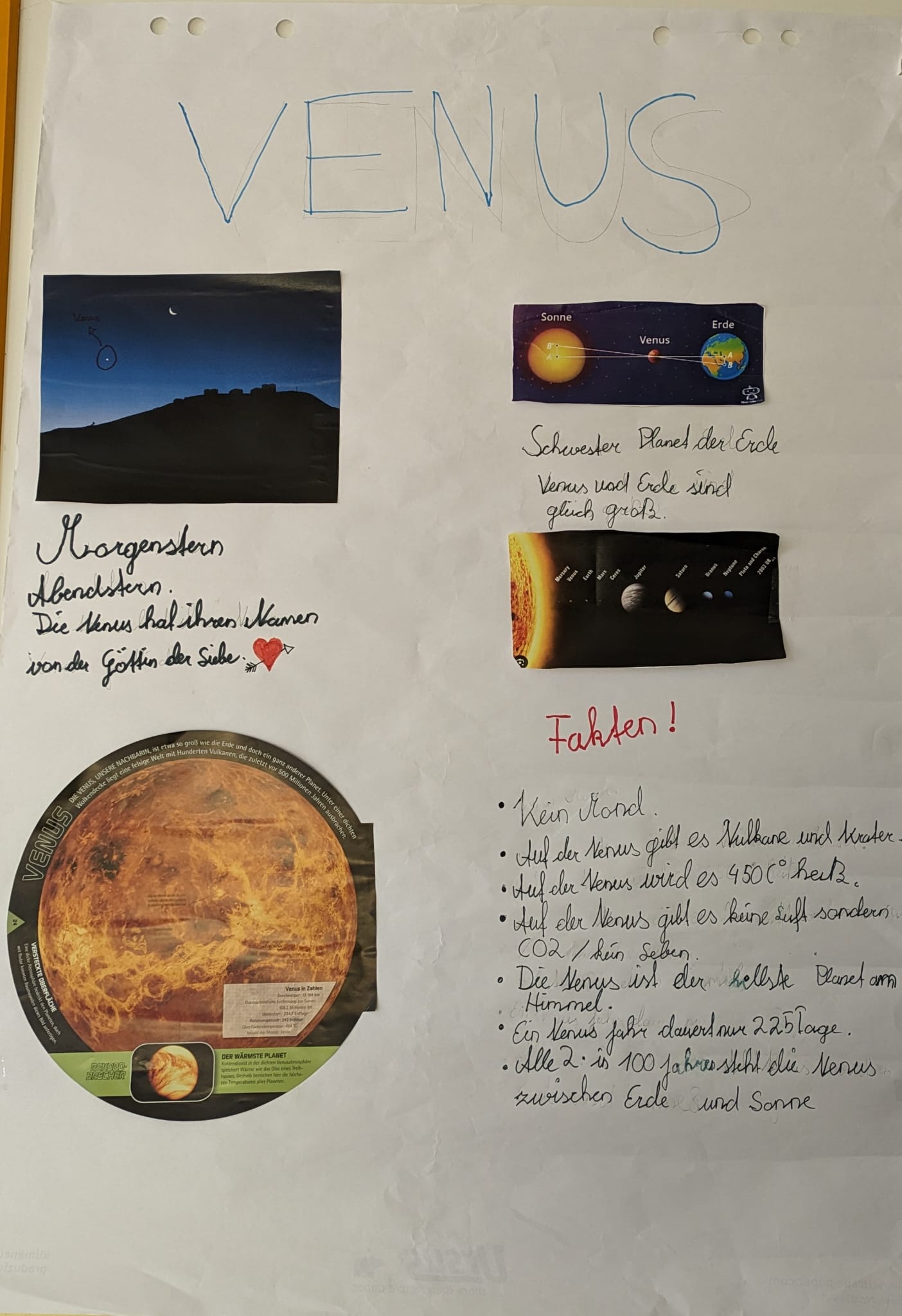 schoepfung_06