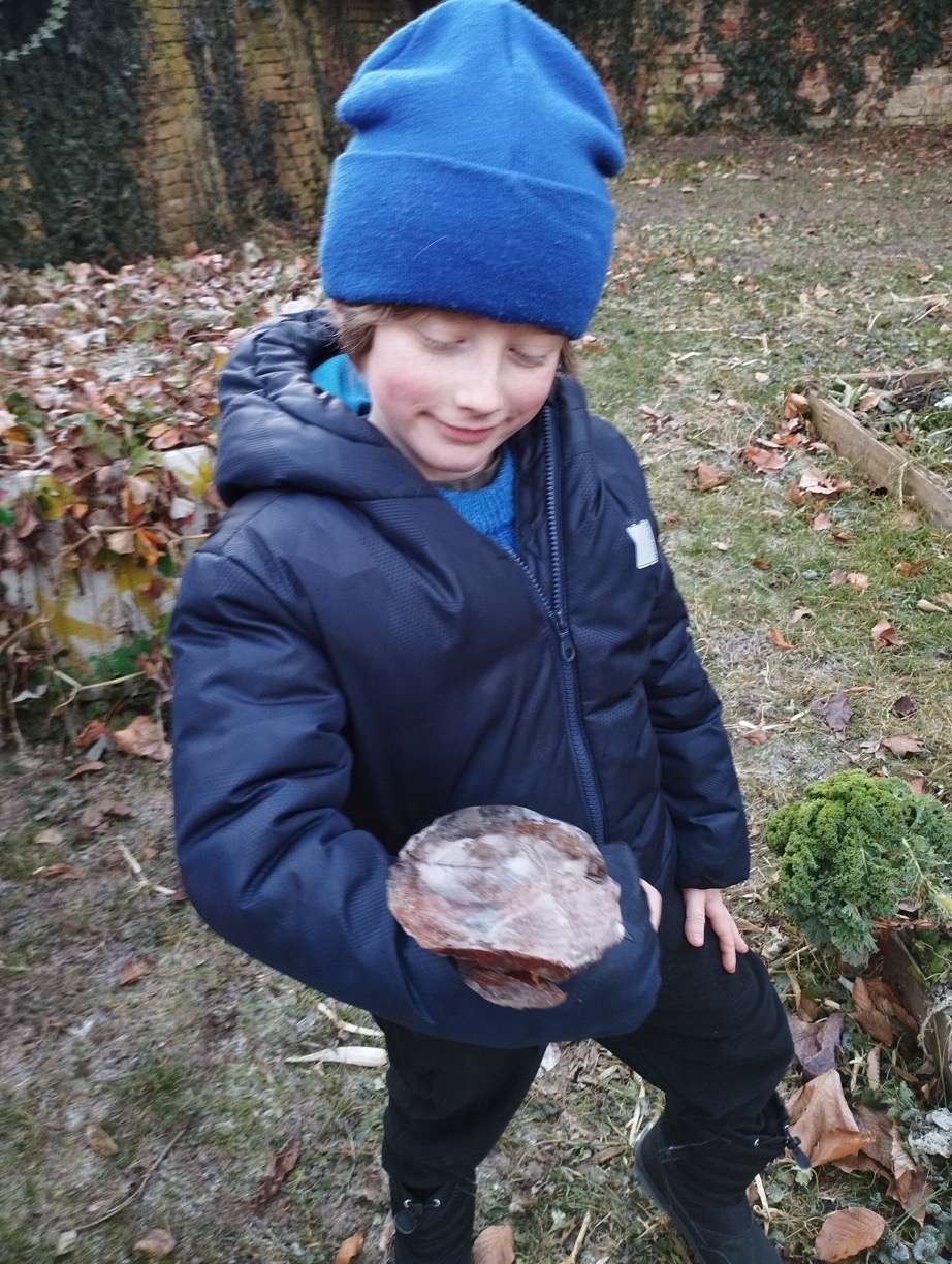 raus_in_den_garten_4
