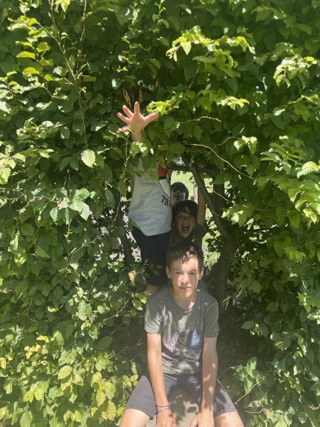 sommerbetreuung_02