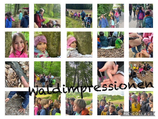 waldimpressionen_1c