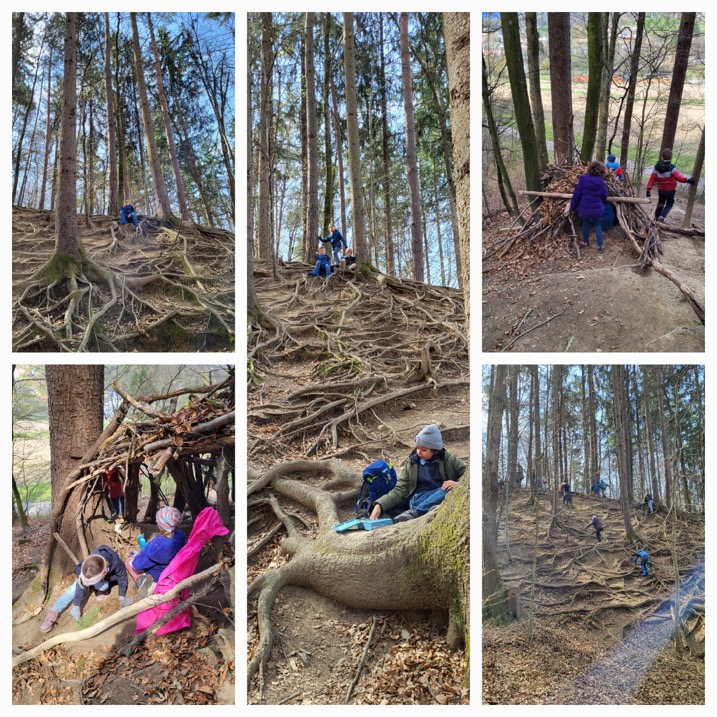 wald_03