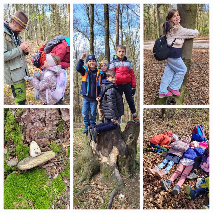 wald_05