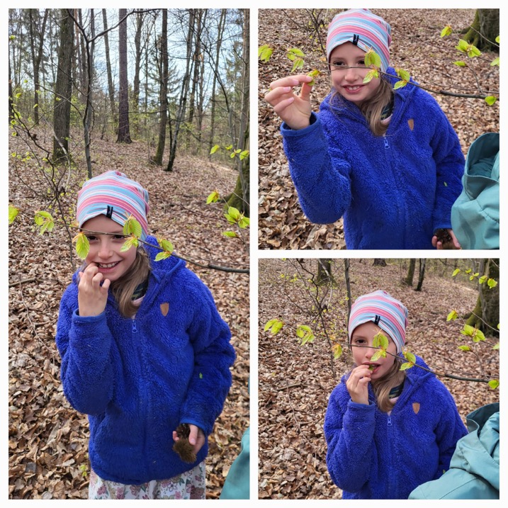 wald_07