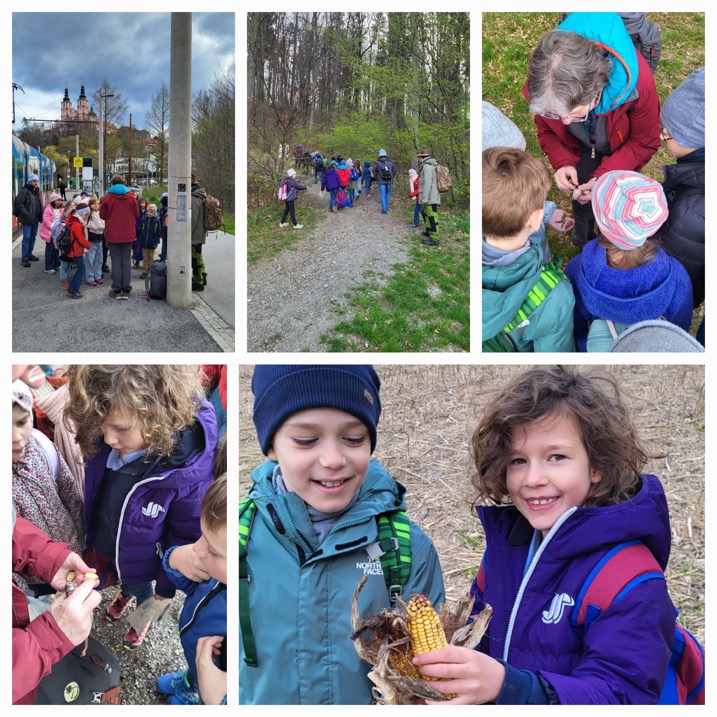 wald_09