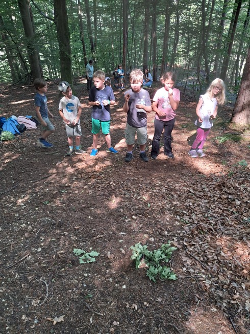 wald_03
