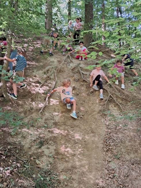 wald_06
