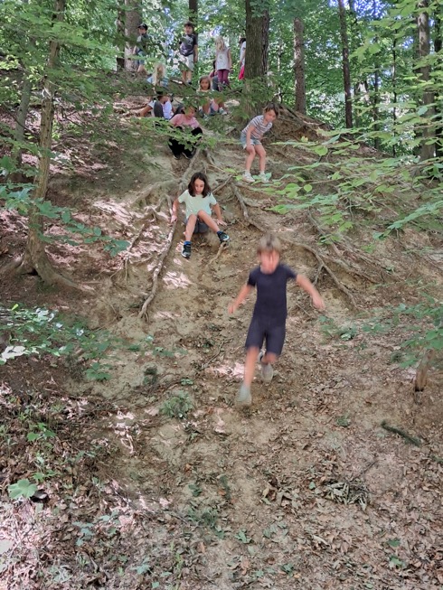 wald_07