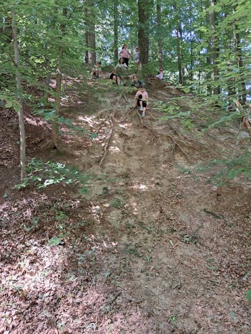 wald_08