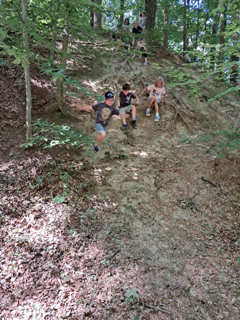wald_10