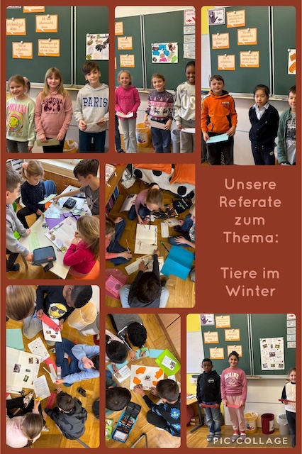 3c_ referate_tiere_im_winter