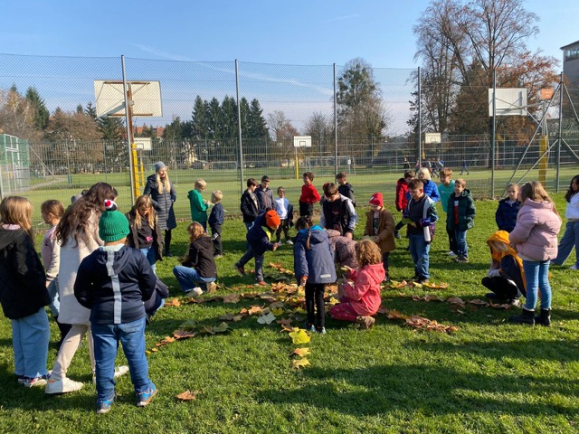 4b_1b_herbst_1