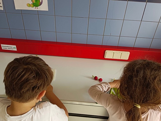 kochen_eierspeis_3