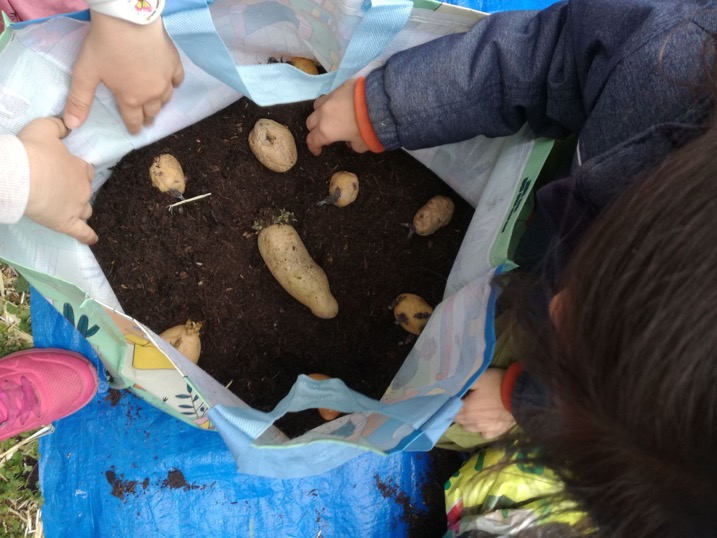 raus_in_den_garten_6