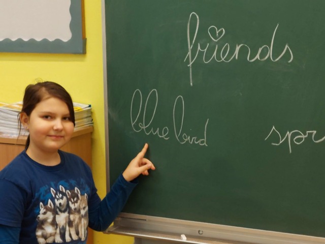 sprachen_5