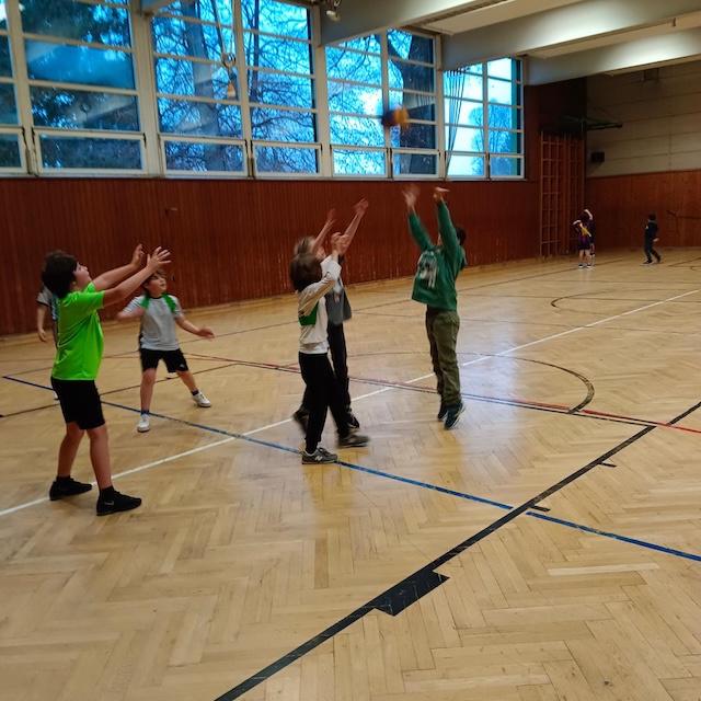 basketball