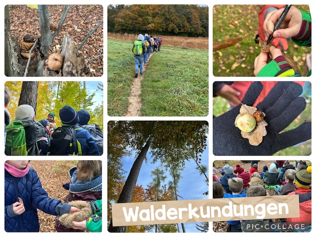 2c_walderkundungen