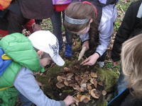 1a_waldbesuch