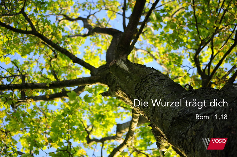baum
