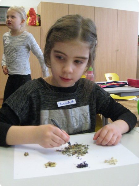 ateliertag_forschen800p_025.jpg