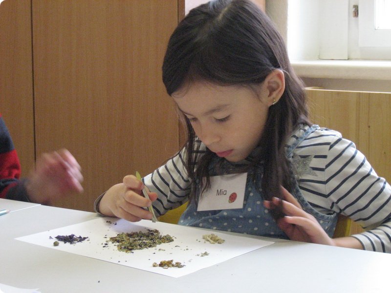 ateliertag_forschen800p_029.jpg