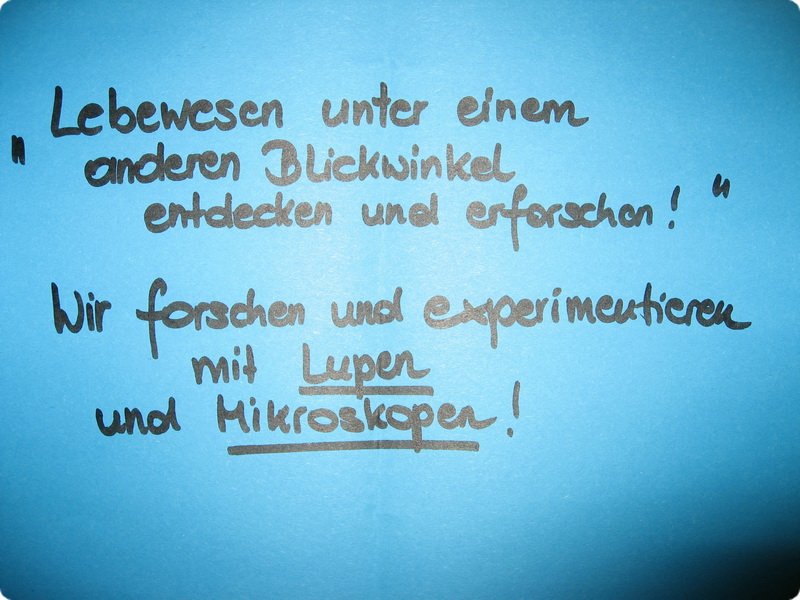 ateliertag_forschen800p_033.jpg