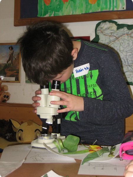 ateliertag_forschen800p_044.jpg