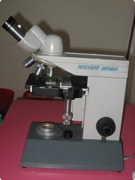ateliertag_forschen800p_086.jpg