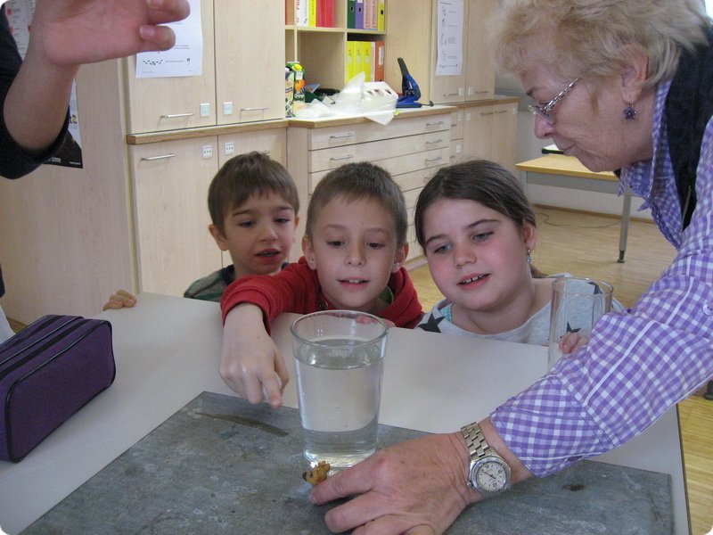 ateliertag_forschen800p_212.jpg