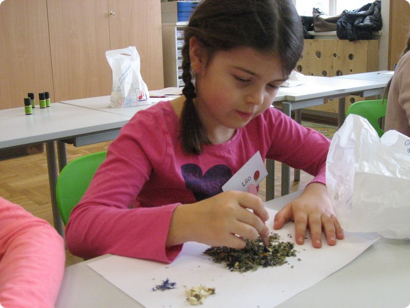 ateliertag_forschen800p_306.jpg