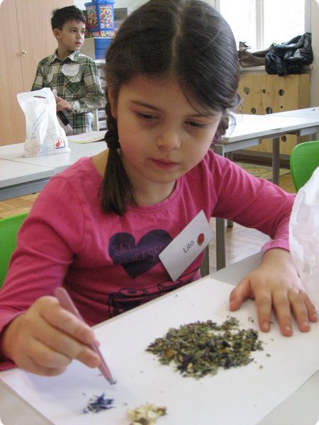 ateliertag_forschen800p_307.jpg