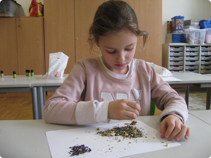 ateliertag_forschen800p_311.jpg