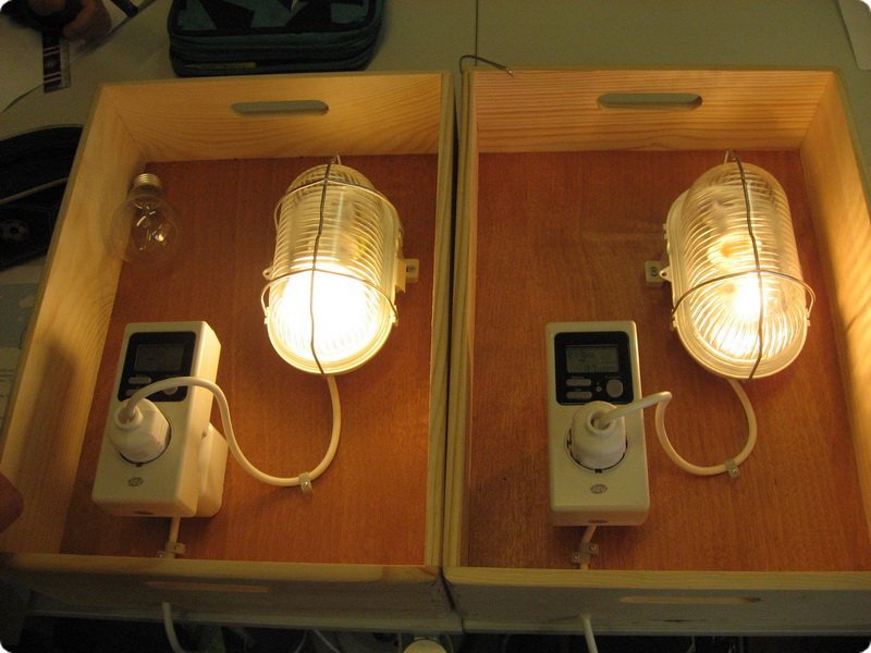 ateliertag_forschen800p_331.jpg