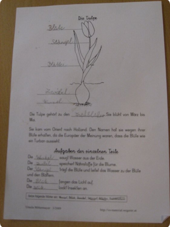 ateliertag_forschen800p_344.jpg