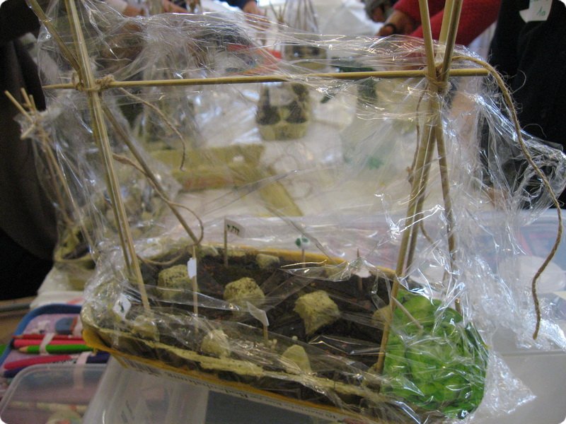 ateliertag_forschen800p_355.jpg