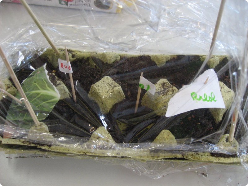 ateliertag_forschen800p_360.jpg