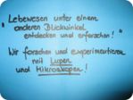 ateliertag_forschen800p_033.jpg
