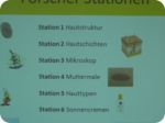 ateliertag_forschen800p_368.jpg