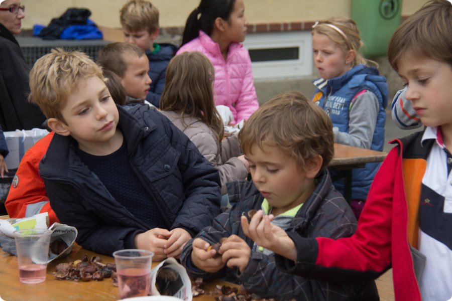 maronifest-04.jpg
